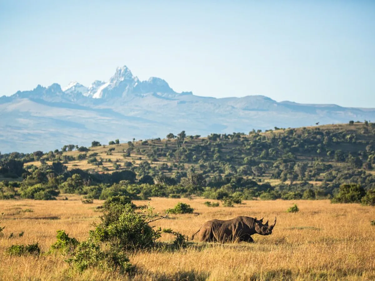 Climate Change Shifts Childhood Malaria Risk Toward Africa’s Cooler Highlands and South
