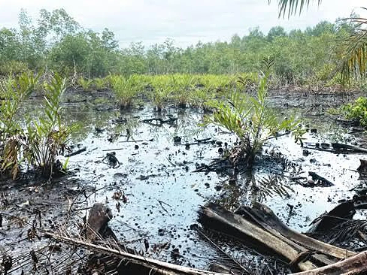 Nigeria's Oil Spill Bill Raises Penalties While Leaving Crucial Enforcement Questions Open