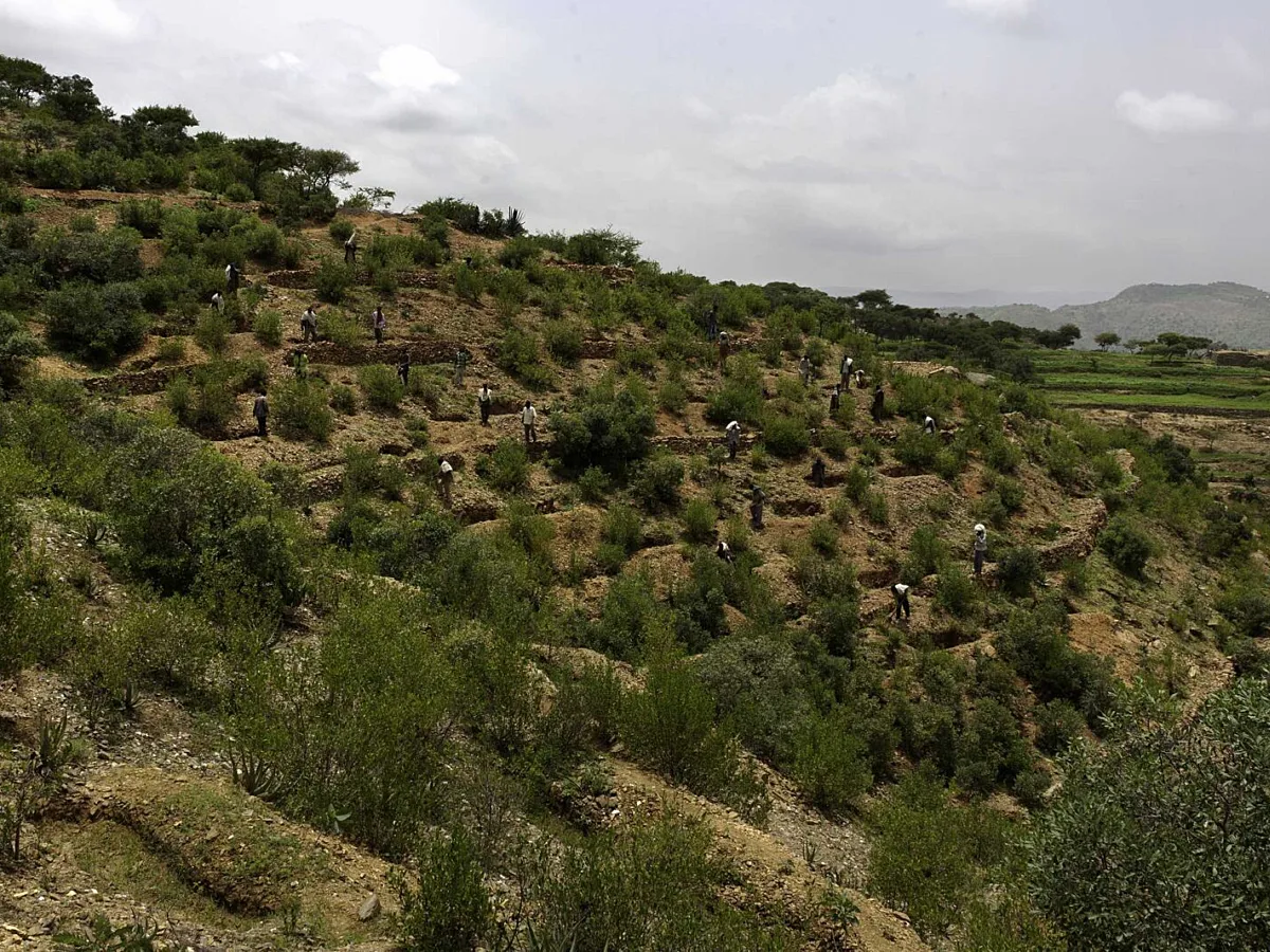 Land Restoration Finance Is Moving From Grants to Investable Resilience at Scale