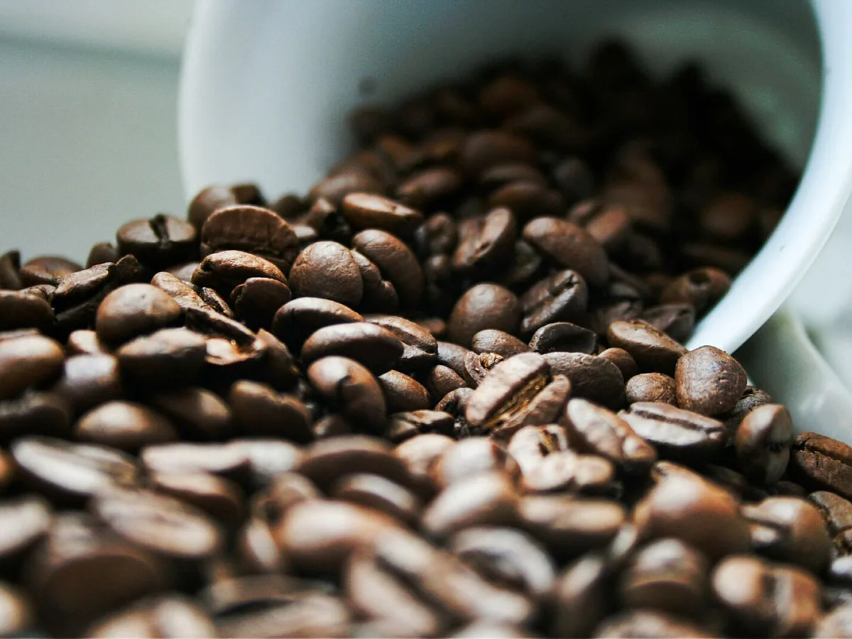 Coffee Prices Stay High as Climate Volatility Reshapes Global Supply Chains