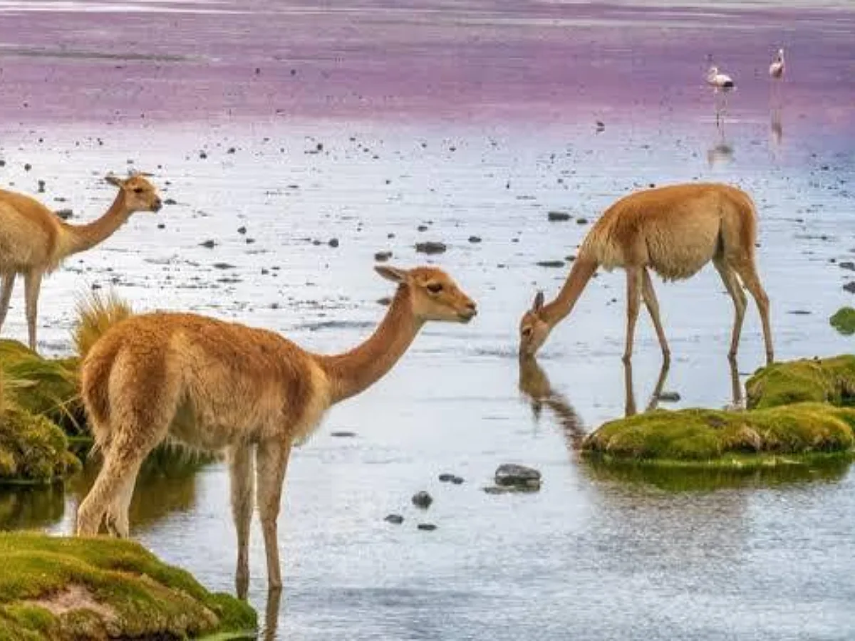 Finance Sector Confronts Nature Risk Blind Spot as Supervisors Raise Pressure