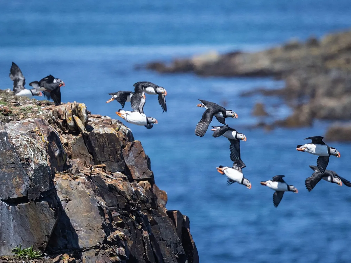 Global Biodiversity Pact Turns Nature Loss Into a 2030 Delivery Test
