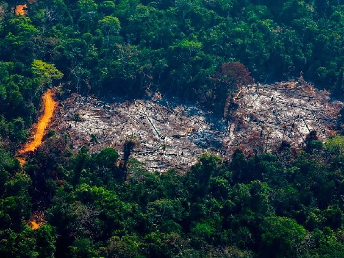 Businesses Turn to TNFD as Nature Loss Becomes a Material Financial Risk