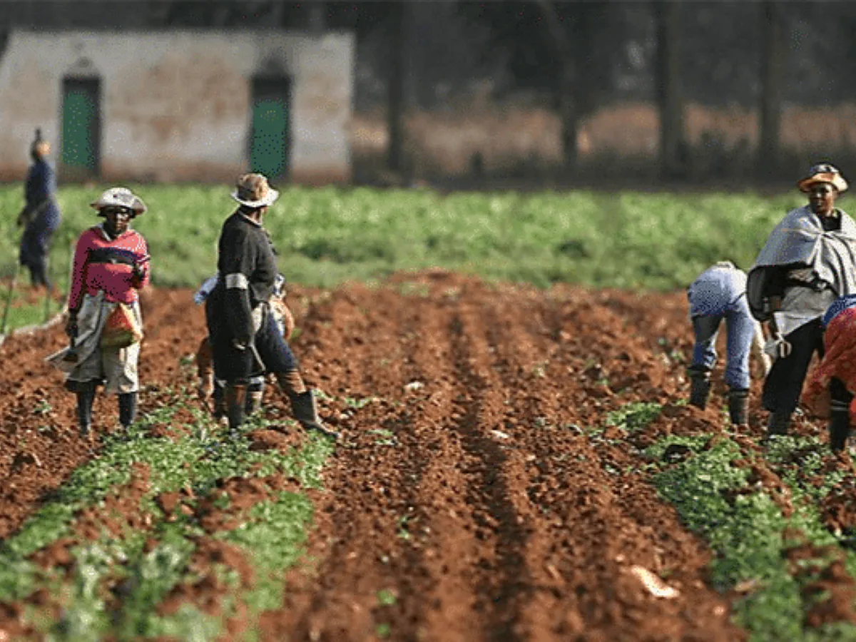 Nigeria farm credit climbs 23% as bank lending priorities continue changing