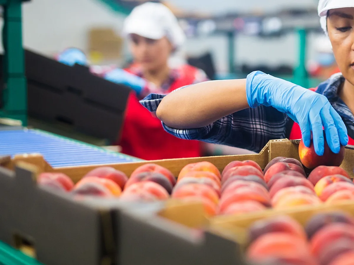 GRI Begins Food And Beverage Standard Development To Strengthen Corporate Impact Reporting