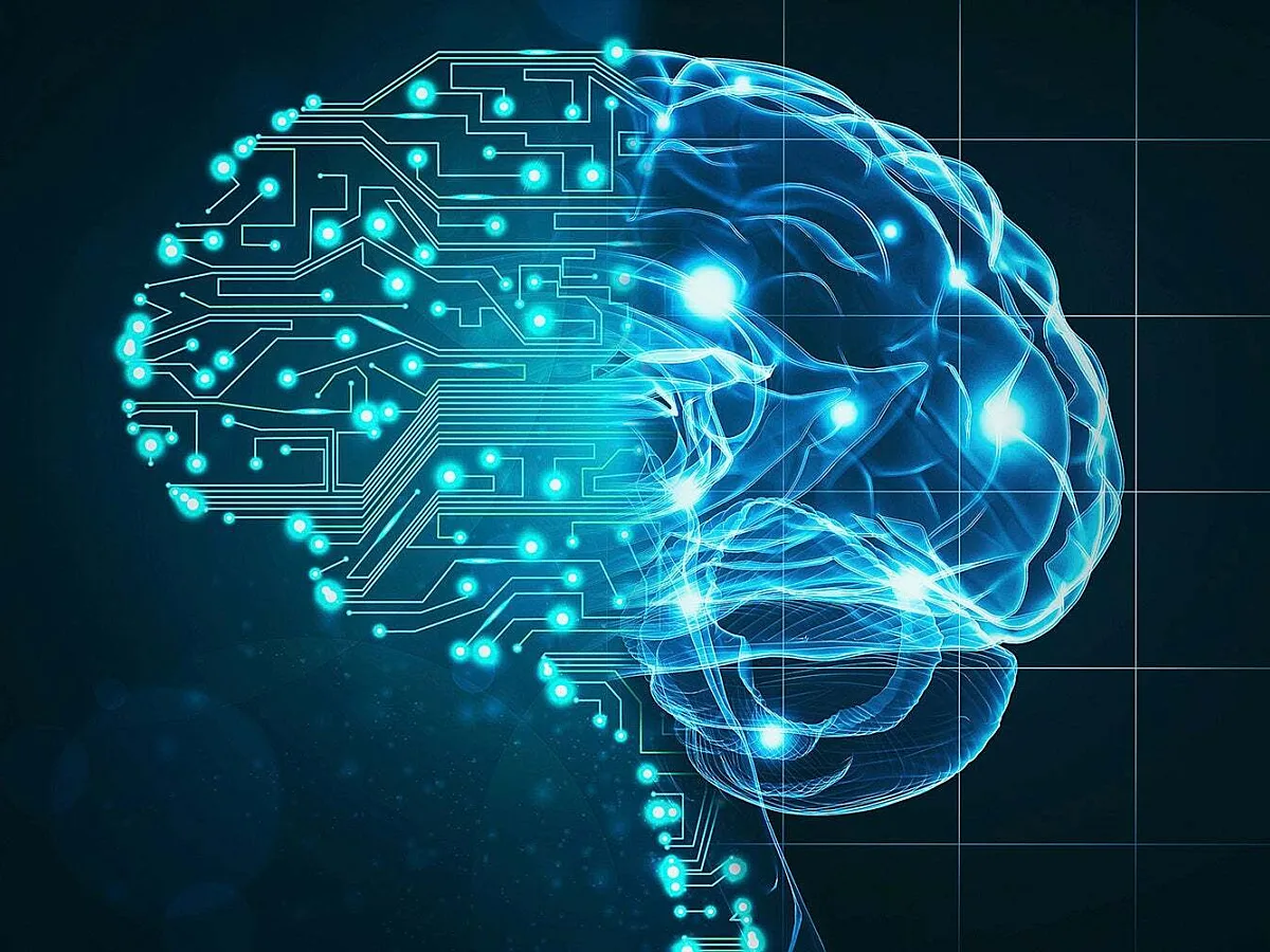 Brain Health And Human Skills Deserve Sustained Investment Alongside Artificial Intelligence Infrastructure