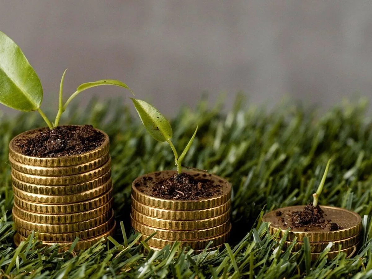 Nigeria’s Climate Finance Gap Demands National Coordination Beyond Individual Energy Transition Deals