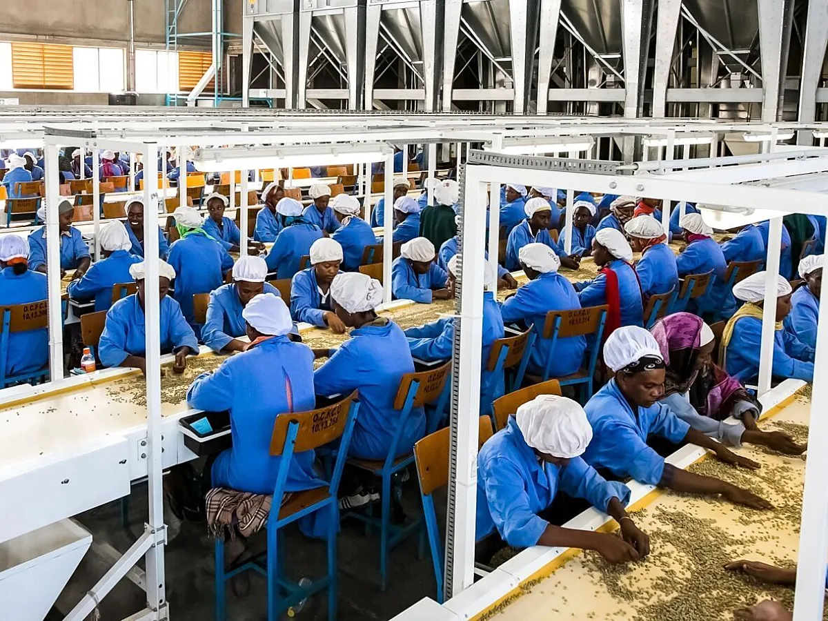 Tanzania targets greater investment as youth employment pressures shape industrial strategy