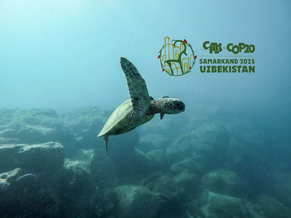 CITES CoP20 – 20th Conference of the Parties to CITES