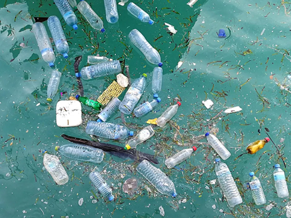 Women & Waste Summit: Policy, Innovation, Inclusion