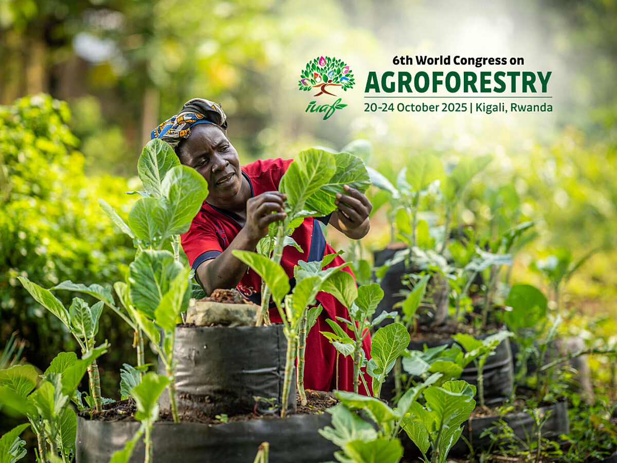 6th World Congress on Agroforestry