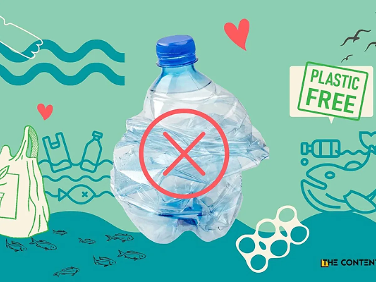 Youth4Nature Exchange Camp 2025