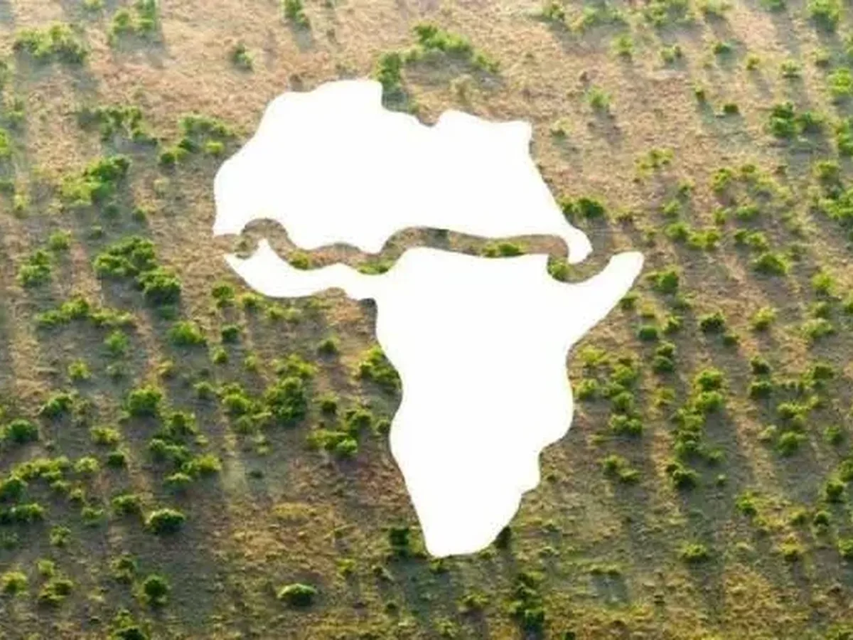 AfDB’s Great Green Wall Portfolio Links Restoration Finance With Resilient African Livelihoods