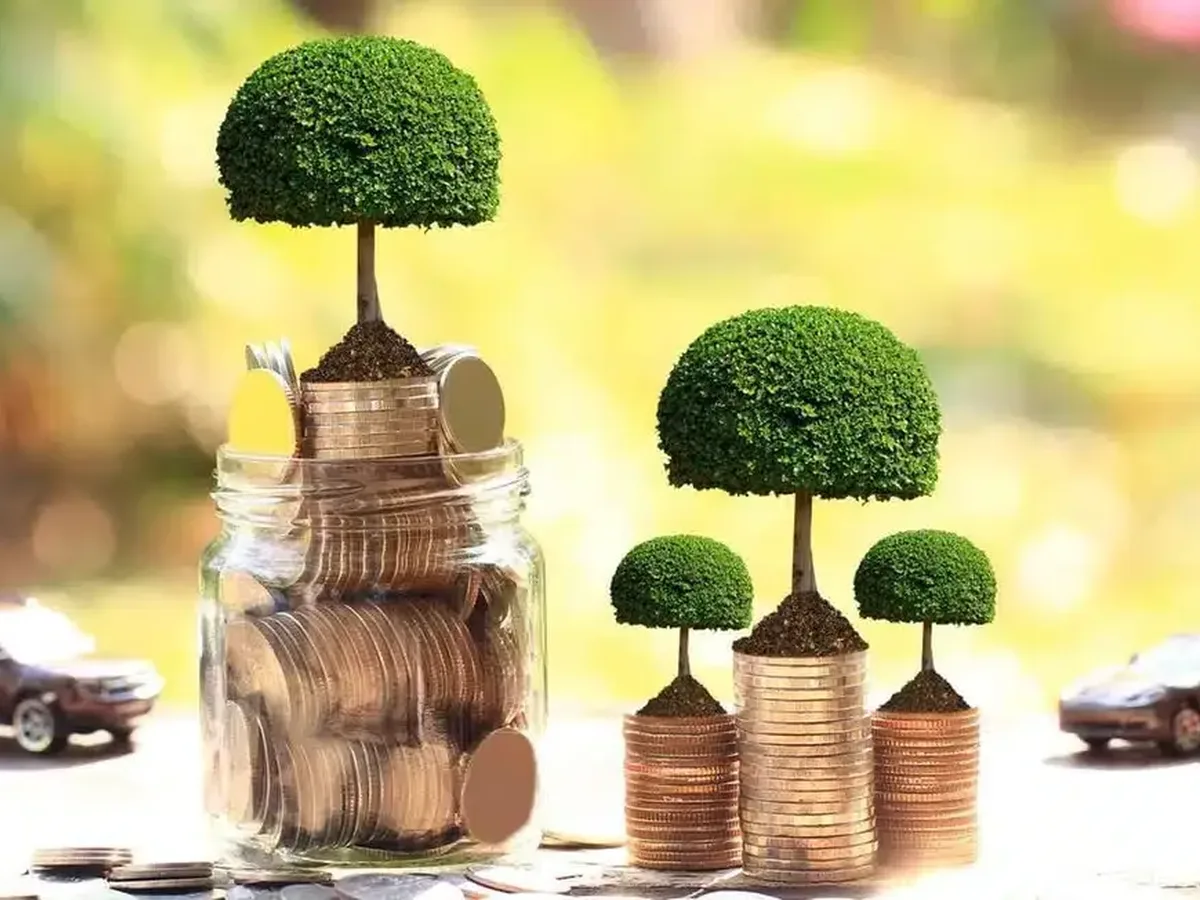 Africa Must Link Nature Protection With Sovereign Debt and Development Finance Decisions