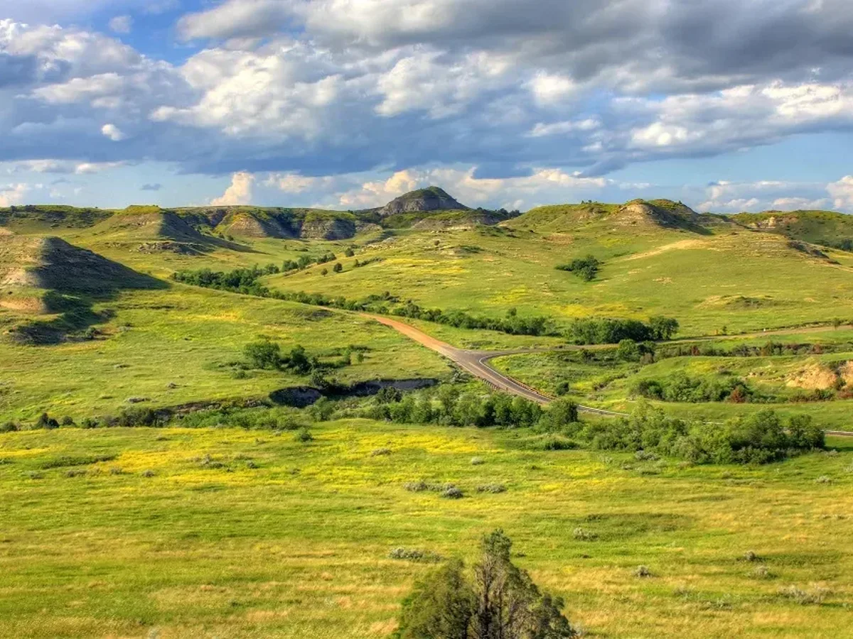 Grassland Diversity Protects Carbon Uptake as Climate Pressures Threaten Pastures and Livelihoods