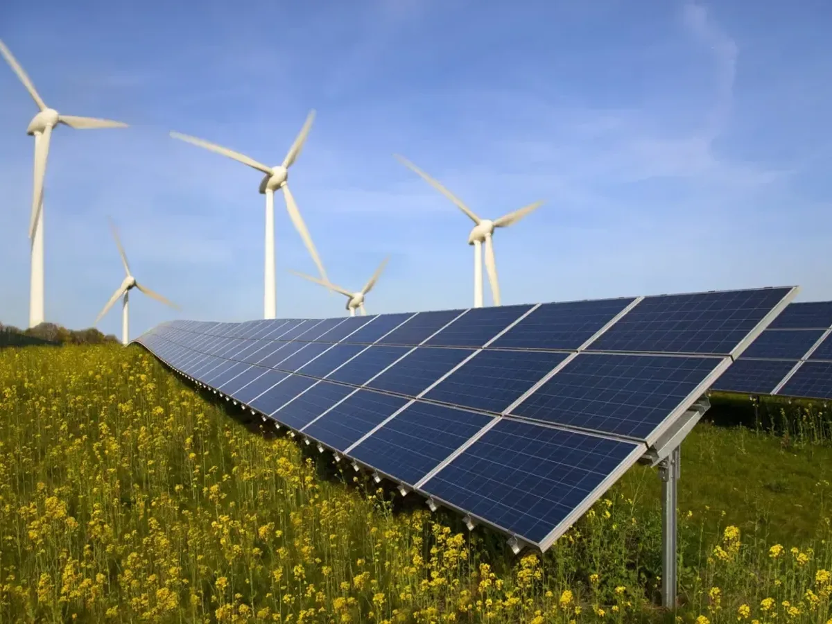 Kenya Solar Export Charge Highlights Need for Clear Approvals and Consumer Guidance