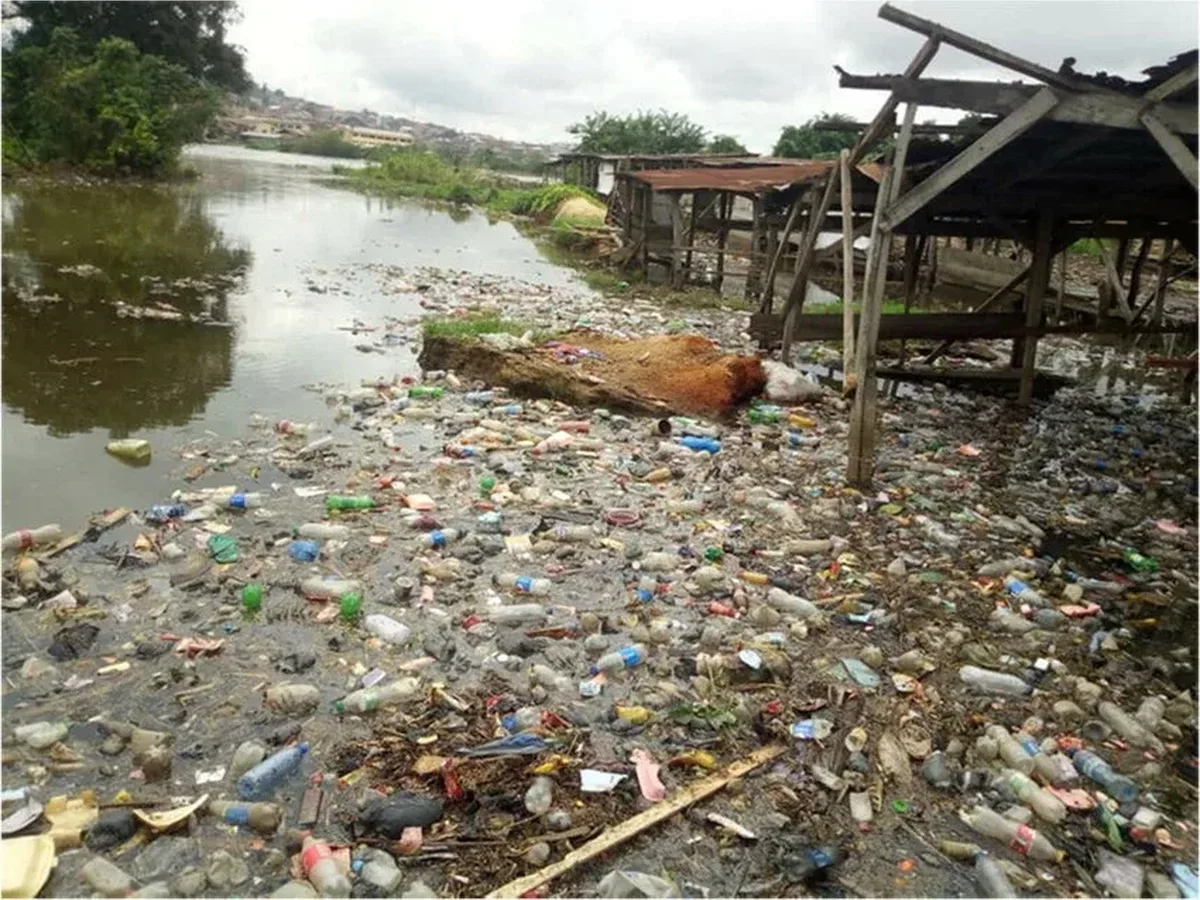 Microplastics Found Across South Africa’s Sacred Isinuka Freshwater Systems Study Shows