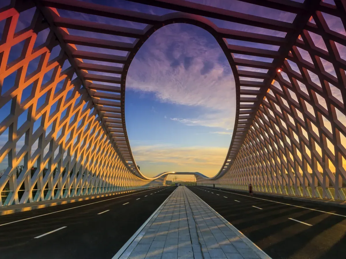Sustainability reporting lifts market value even when profits are not the bridge
