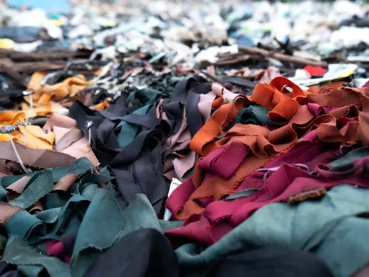 Sustainable Textiles Grow but Still Fail to Displace Fashion’s Virgin Fibre Dependence