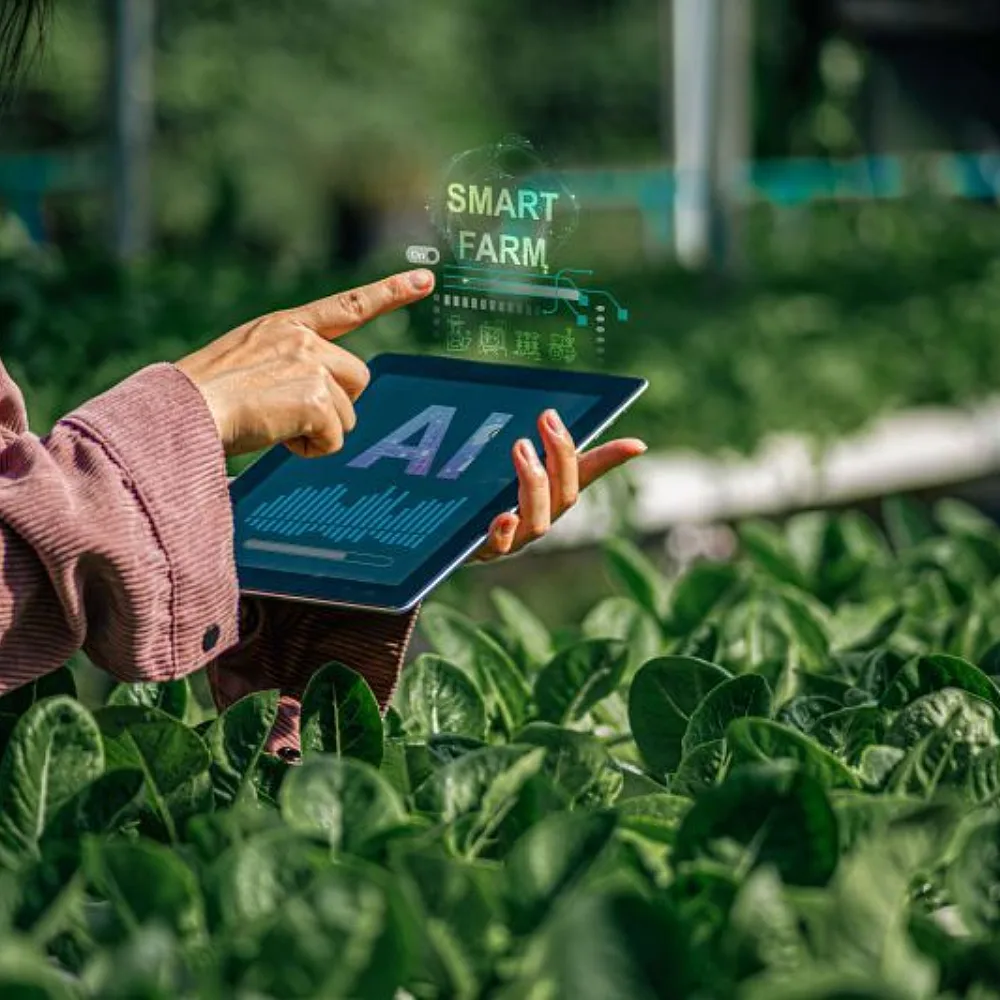 Artificial Intelligence Accelerates Climate And Nature Solutions Across Energy, Agriculture And Conservation