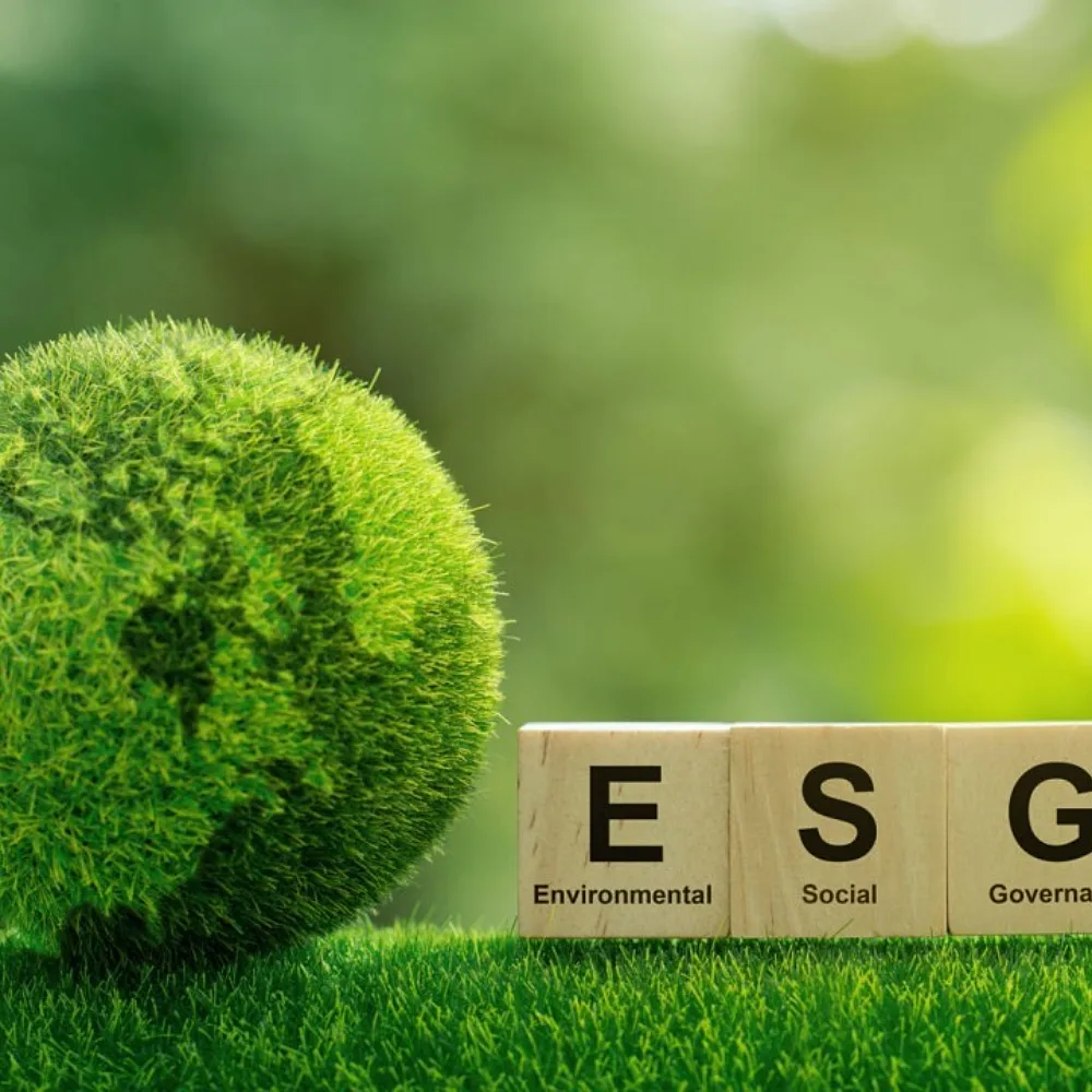 The Sustainability Integration Puzzle: How African Corporations Can Turn ESG Into Enterprise Value