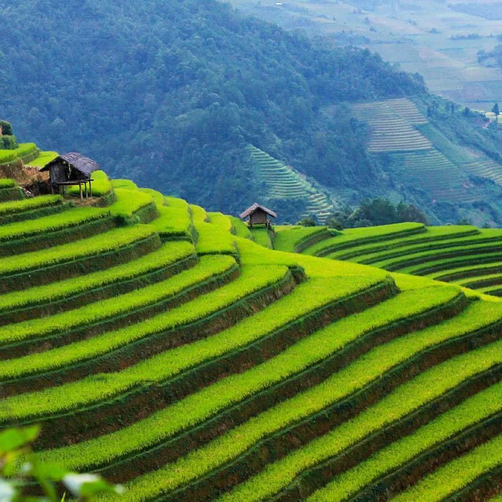 The GHG Protocol Decoded: Why Africa's Businesses Must Master Carbon Accounting Now