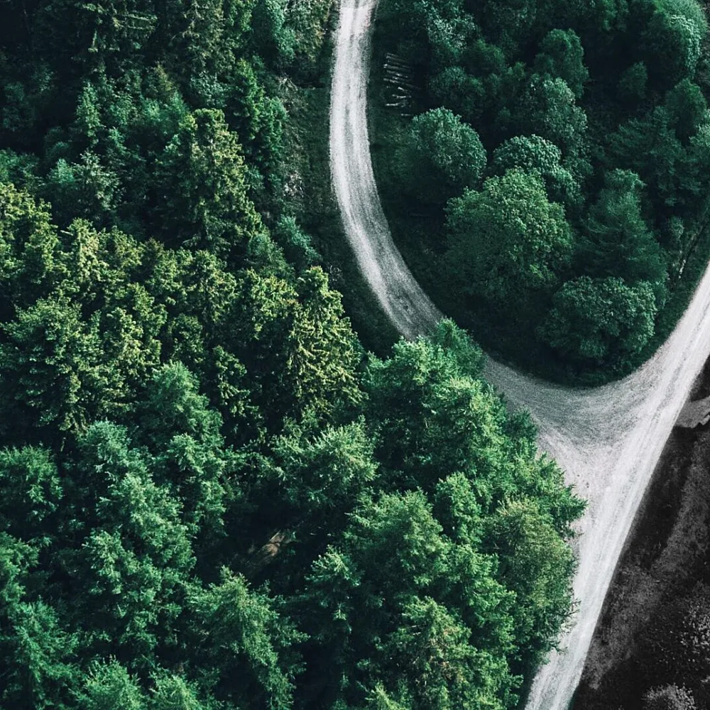 Green finance mobilisation now depends on making the transition genuinely investable