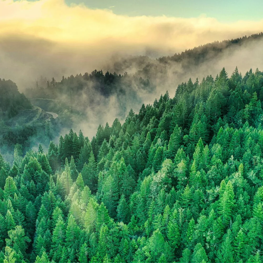 Nigeria’s Sustainability Index Shows ESG‑Ready Champions, and a Risky Disclosure Gap