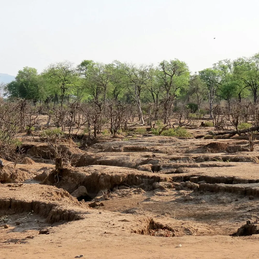 Land Degradation Is Now A Food Security Test For Africa’s Farmers Today