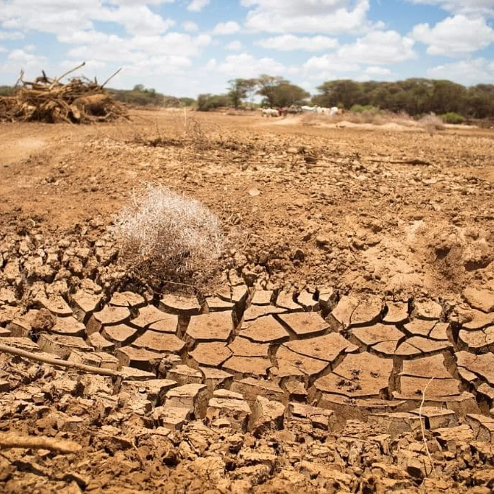 Africa's Climate Debt Crisis: The V20 Lifeline Fund Changes Everything Now
