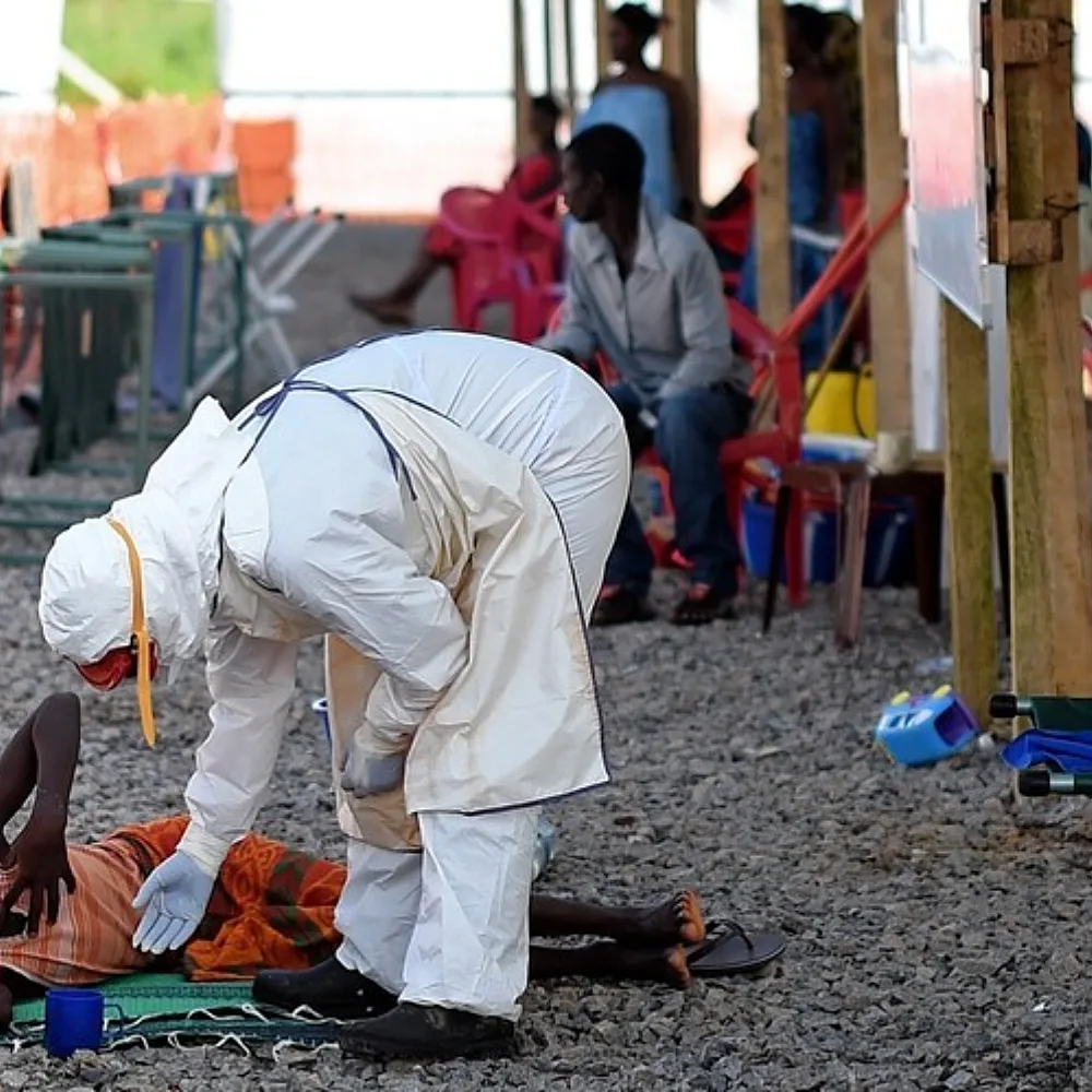 When the Healer Falls: Ebola's Invisible Tax on Africa's Frontline Workers and Knowledge Economy