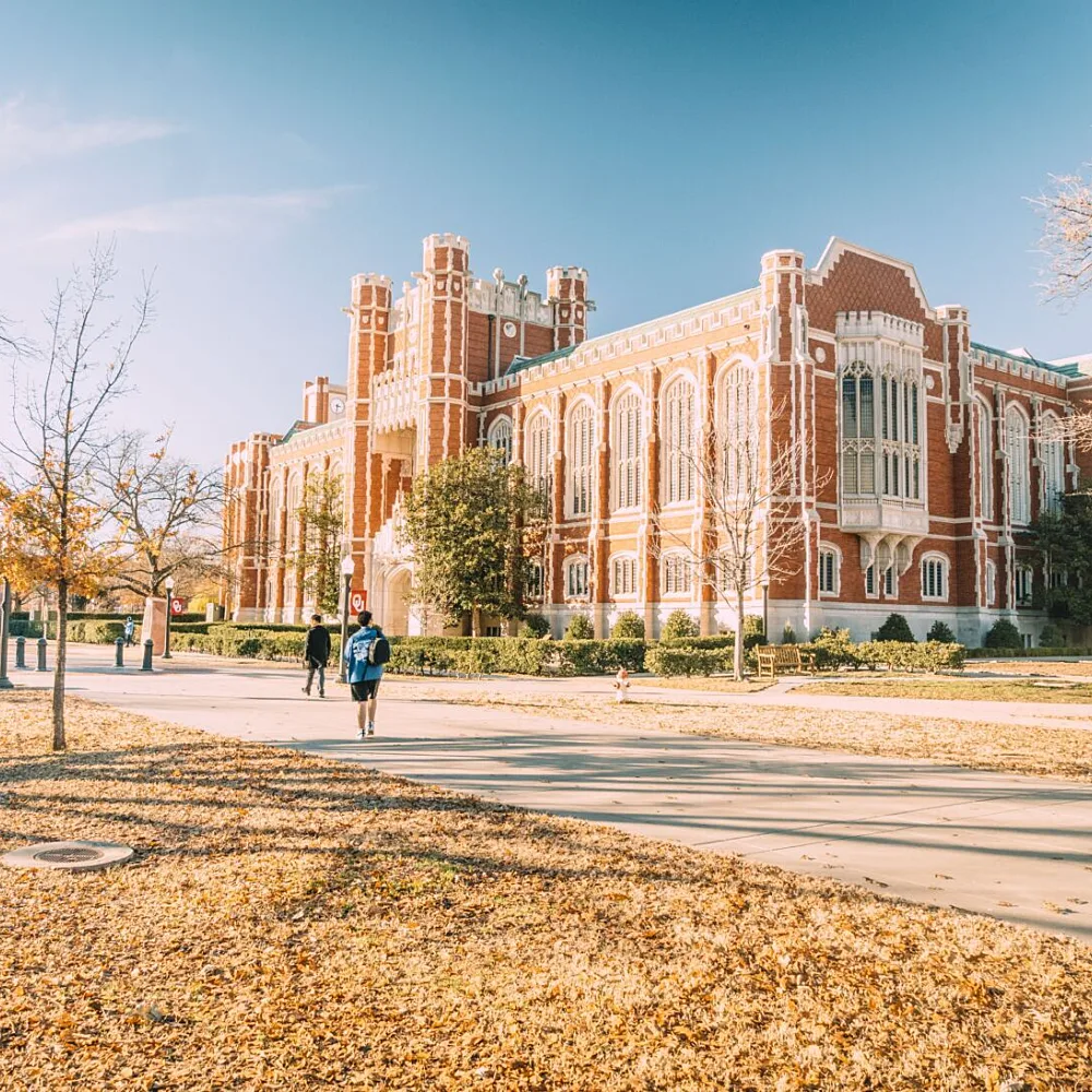 When America's Universities Are No Longer Free, Africa Should Be Deeply Alarmed and Actively Prepared