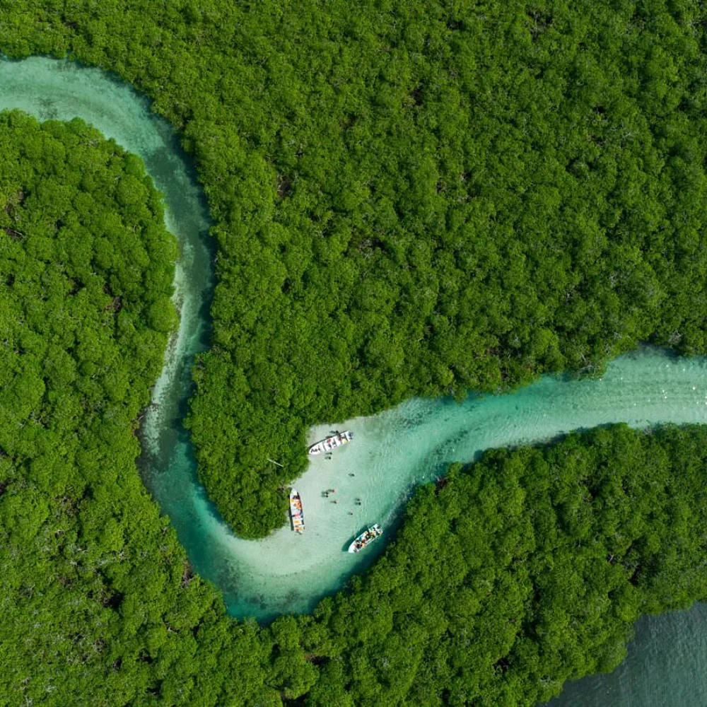 Africa Cannot Separate Plastic Pollution from Biodiversity and Here Is Why