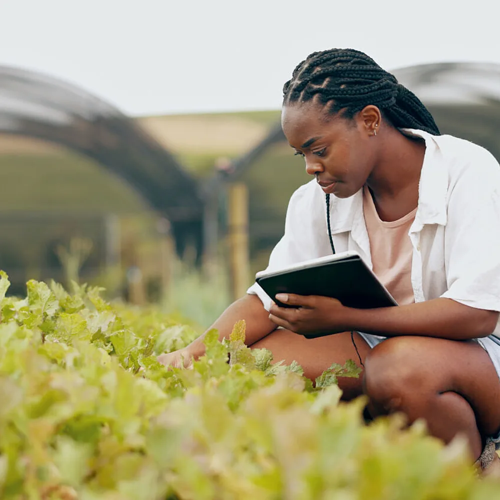 South Africa Is Running a Double Standard on Its Own Food Safety