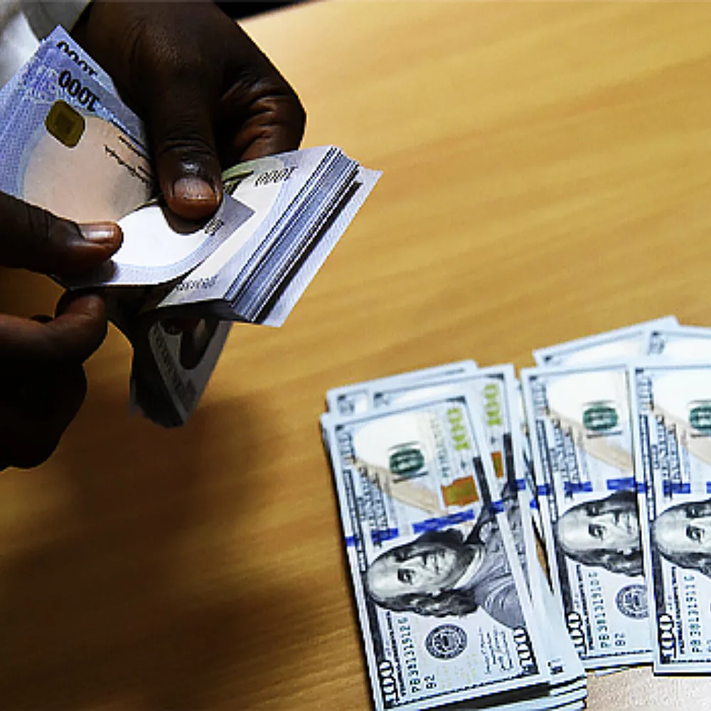 Nigeria Builds Trust Rails to Turn Diaspora Remittances Into Productive Investment Capital