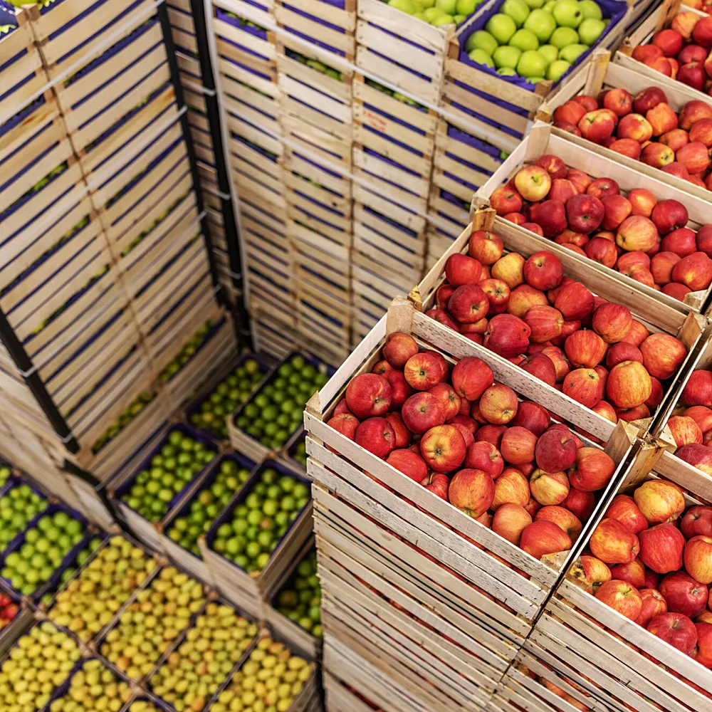 We Are Not Waiting: African Youth Demanding Climate Reparations at COP30