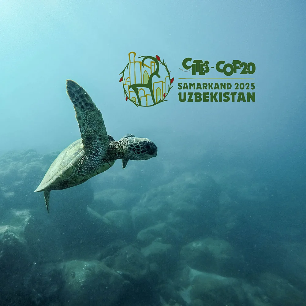 CITES CoP20 – 20th Conference of the Parties to CITES