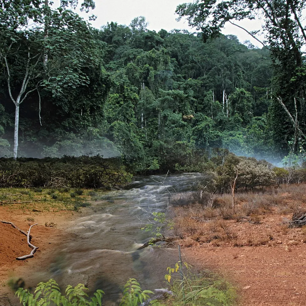 Indigenous Wisdom Spurs Africa's Carbon Market Growth, Targeting $122 Billion by 2033