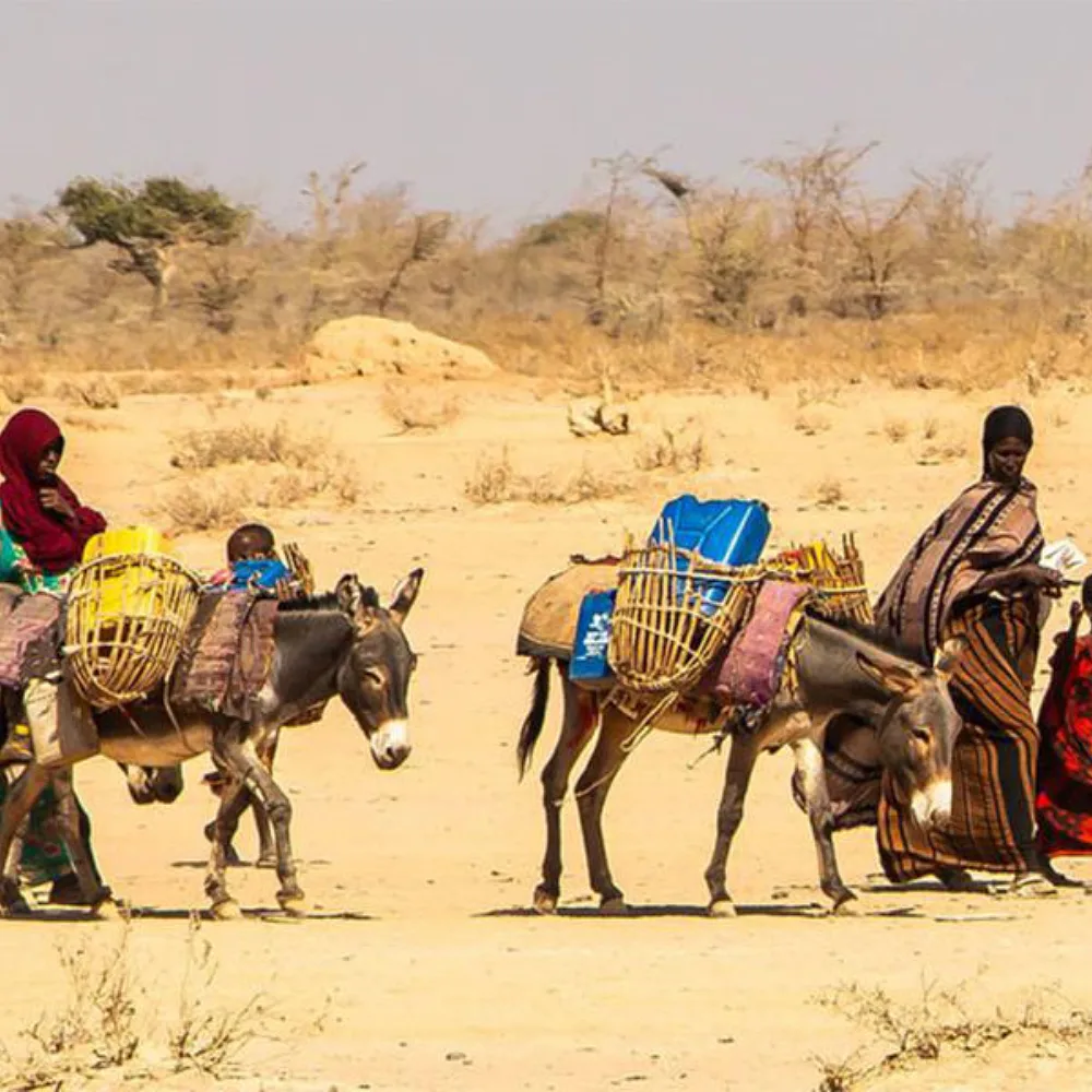 Water Scarcity Is Driving Hunger Across Africa as Climate Extremes Intensify