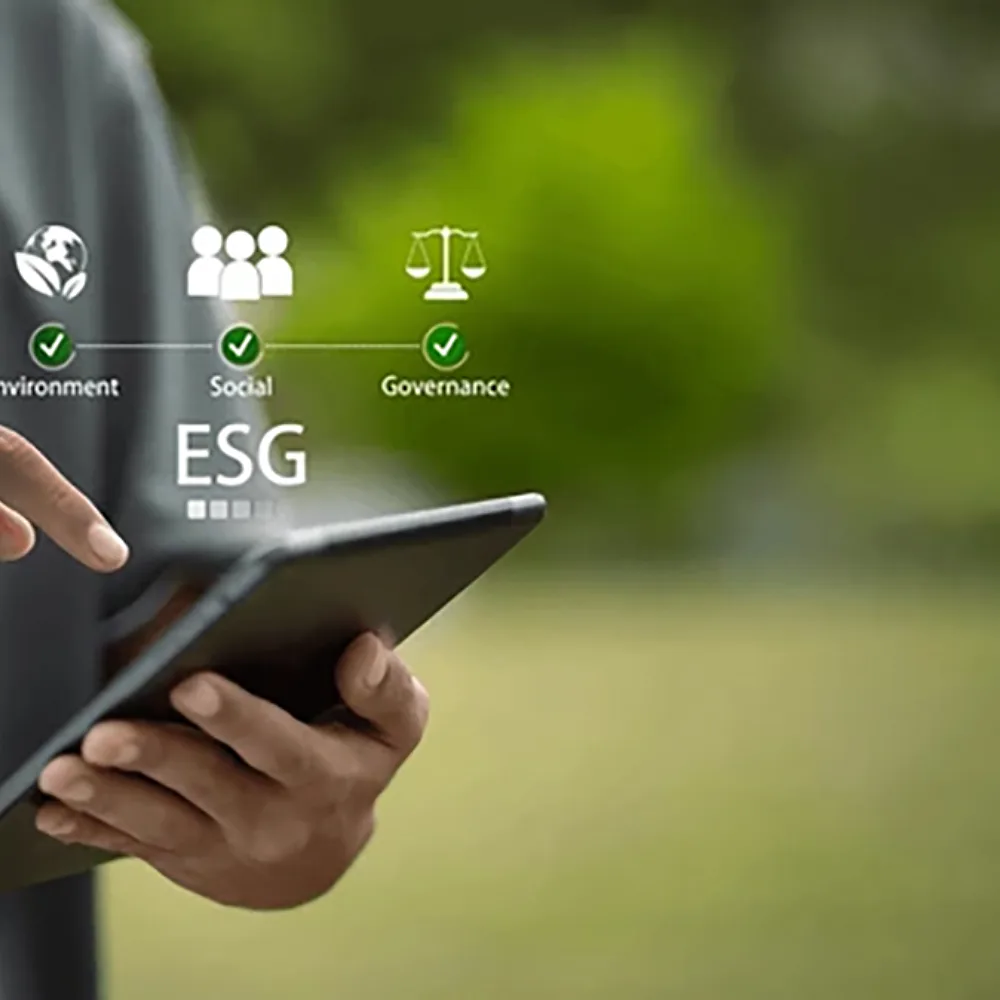 Green Claims Under Fire as Climate Business Faces $15 Trillion Reckoning