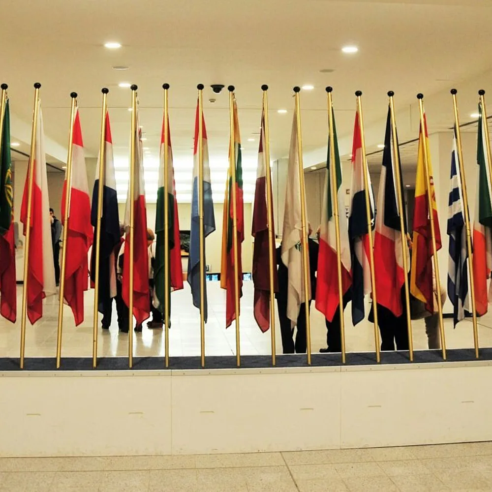 Co-Financing Surges Past Bank Funding – Multilateral Capital Finds New Momentum