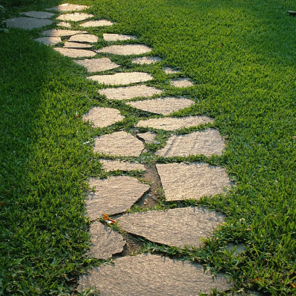 What Works for Work: Proven Paths to Jobs at Scale