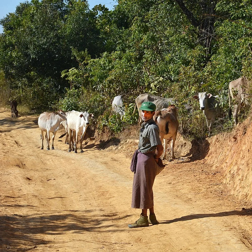 Putting Farmers At Methane’s Frontline To Secure Food And Climate Futures