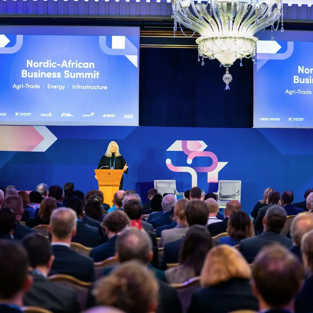 Denmark’s Africa Partnership Must Turn Nordic Capital Into African Ownership and Agency