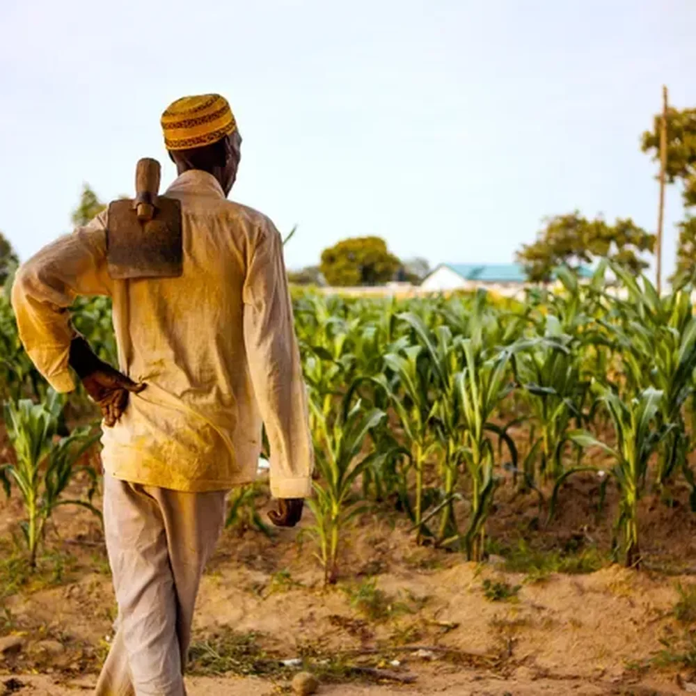 Farmerline Connects African Farmers to Information, Capital, Markets and Lasting Rural Prosperity
