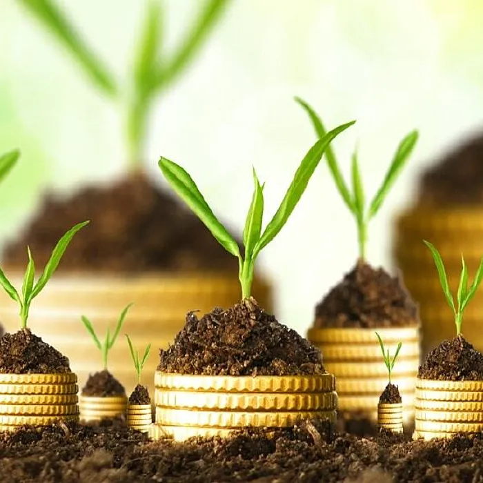 Africa’s ESG progress must move beyond disclosure towards accountability and capital allocation