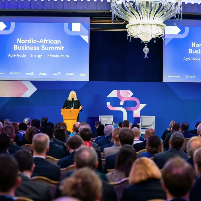 Denmark’s Africa Partnership Must Turn Nordic Capital Into African Ownership and Agency