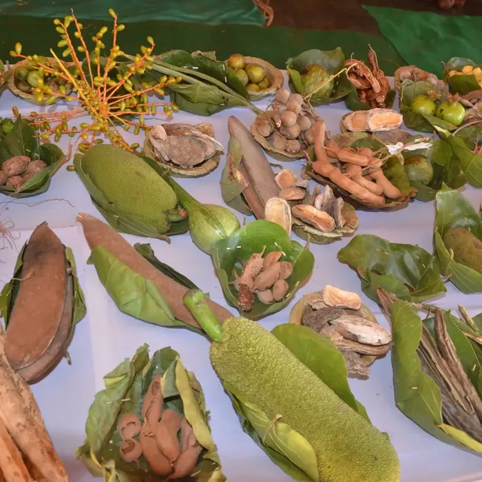 The Food We Never Eat Deepens Hunger And Adds Pressure On Forests
