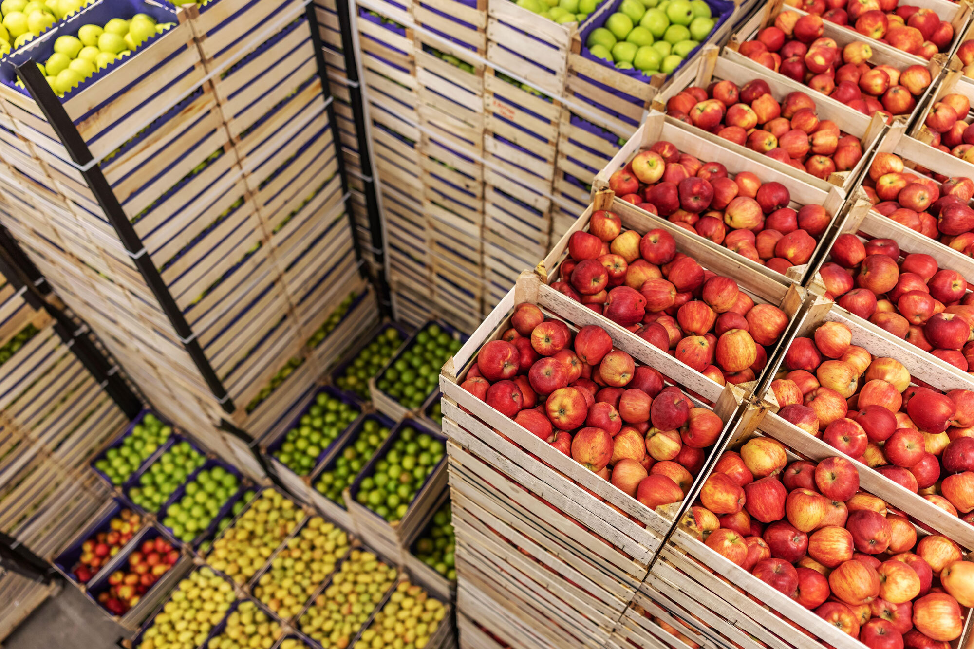 Refrigerating The Future: How Cold Chain Infrastructure Can Save Africa’s Food, Health, and Circular Economy