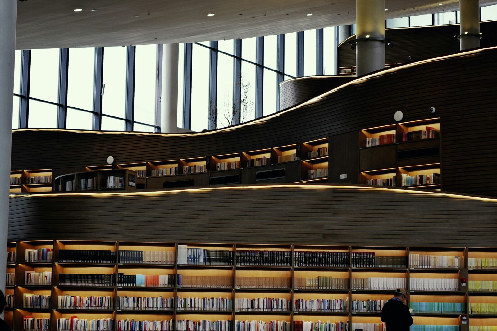 Nigeria's Sustainable Finance Ambitions Stalled by Persistent Knowledge Gaps Across Policy and Markets